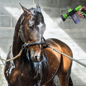 pets : Nozoo Pony Jet - Was Je Paard als Nooit Tevoren - Groen in van Pantino