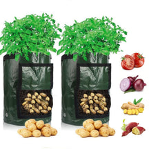 home & garden : Aardappel Groeiende Zak - Groen in Groen van Pantino