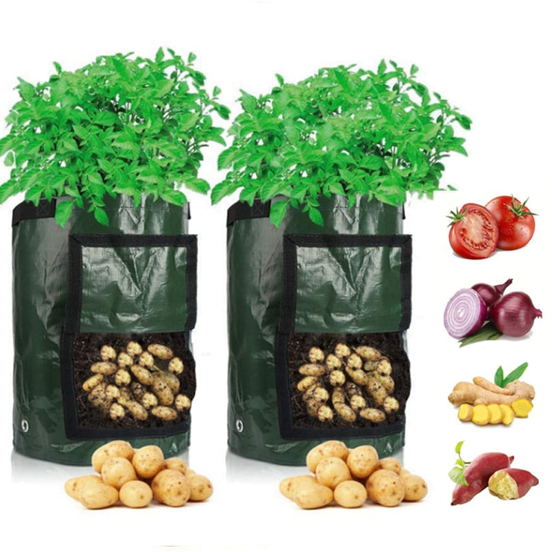 home & garden : Aardappel Groeiende Zak - Groen in Groen van Pantino