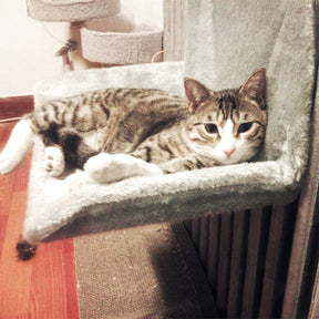 pets : Kat Radiator Hangmat Polyester - Zwart in van Pantino
