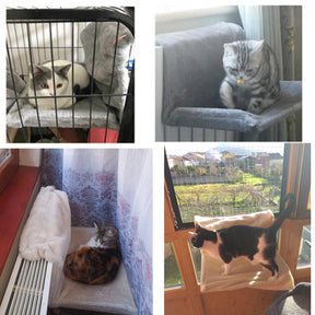 pets : Kat Radiator Hangmat Polyester - Zwart in van Pantino