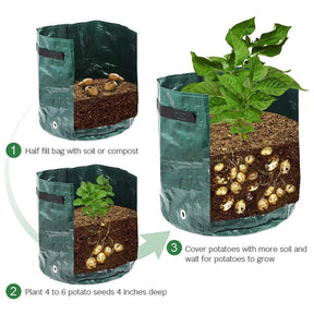 home & garden : Aardappel Groeiende Zak - Groen in van Pantino
