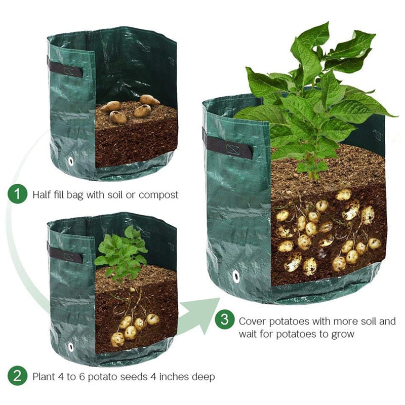 home & garden : Aardappel Groeiende Zak - Groen in van Pantino
