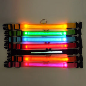pets : LED Halsband Nylon - Blauw in van Pantino