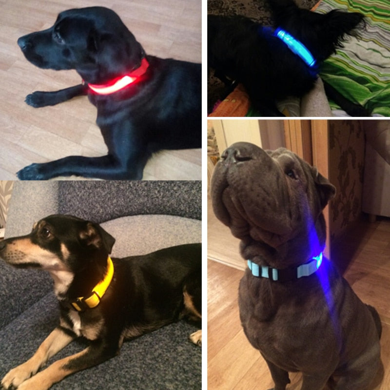 pets : LED Halsband Nylon - Blauw in van Pantino