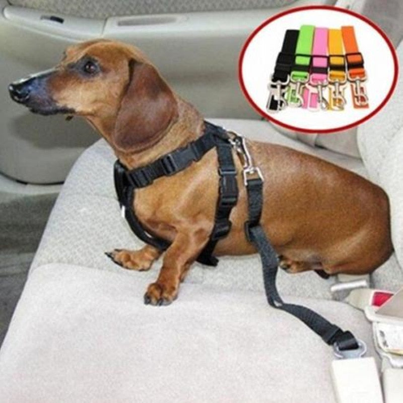 pets : Hond Auto Veiligheidsgordel - Rood in van Pantino