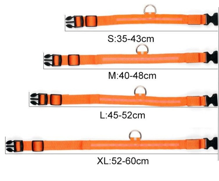 pets : LED Halsband Nylon - Blauw in van Pantino
