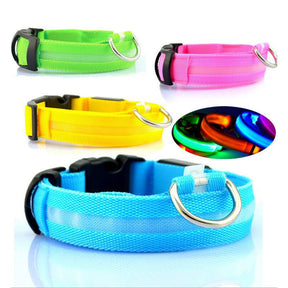 pets : LED Halsband Nylon - Blauw in van Pantino