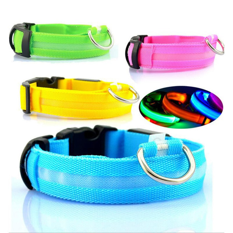 pets : LED Halsband Nylon - Blauw in van Pantino
