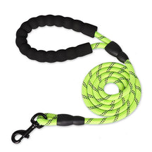 pets : Reflecterende Honden Riem - Wandel 's Avonds Veilig met Jouw Trouwe Viervoeter - Rood in Groen van Pantino