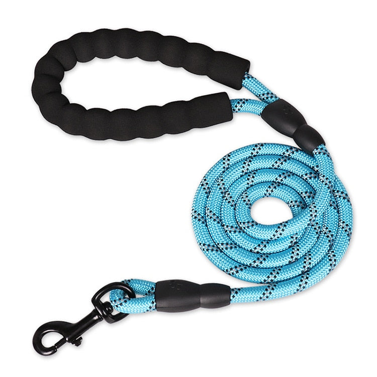 pets : Reflecterende Honden Riem - Wandel 's Avonds Veilig met Jouw Trouwe Viervoeter - Rood in Blauw van Pantino