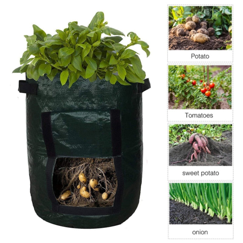 home & garden : Aardappel Groeiende Zak - Groen in van Pantino
