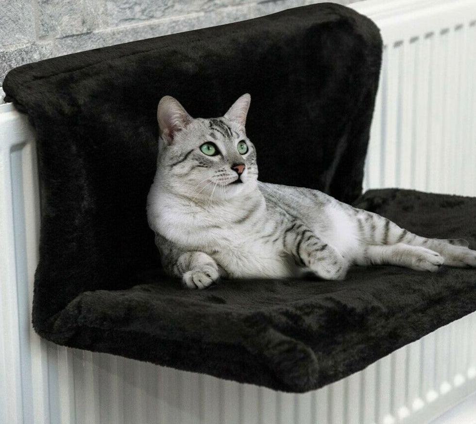 pets : Kat Radiator Hangmat Polyester - Zwart in van Pantino