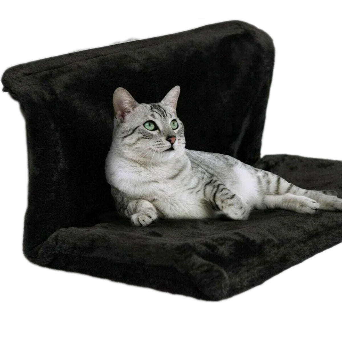 pets : Kat Radiator Hangmat Polyester - Zwart in Zwart van Pantino