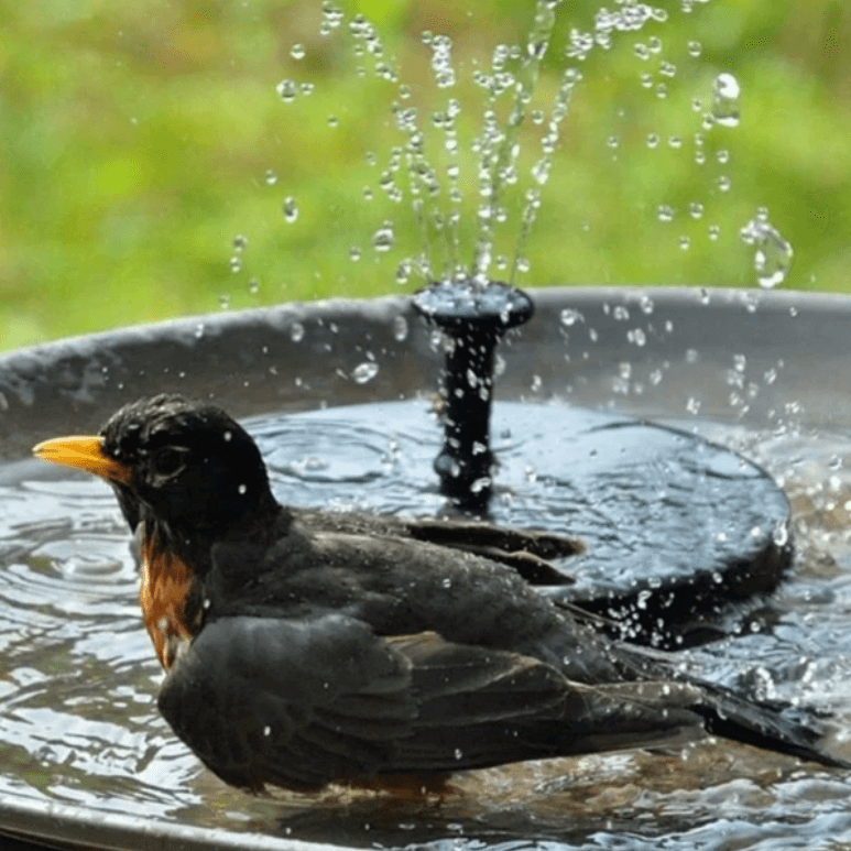 outdoor equipment : LED Zonne Waterfontein voor Tuin & Vijver | Duurzame fontein met hoge waterdruk in van Pantino