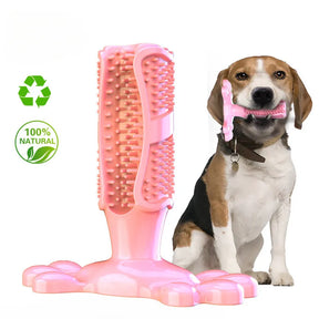 pets : BrushPup Stralend Hondengebit in Één Speeltje - Groen in Roze van Pantino