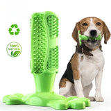 BrushPup Radiant Dog Teeth in One Toy - Green
