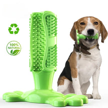 pets : BrushPup Stralend Hondengebit in Één Speeltje - Groen in Groen van Pantino