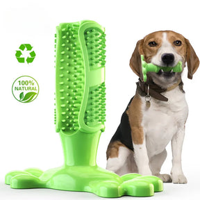 pets : BrushPup Stralend Hondengebit in Één Speeltje - Groen in Groen van Pantino
