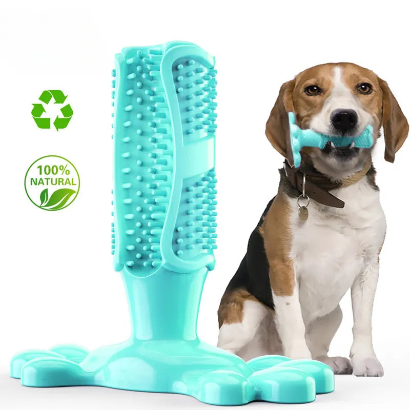 pets : BrushPup Stralend Hondengebit in Één Speeltje - Groen in Licht blauw van Pantino