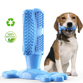 pets : BrushPup Stralend Hondengebit in Één Speeltje - Groen in Blauw van Pantino