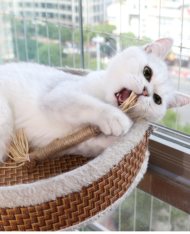 pets : Krabpaal KittyBliss - Compacte & Duurzaam Kartonnen Krabpaal voor Katten in van Pantino