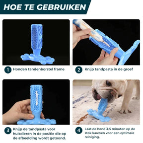 pets : BrushPup Stralend Hondengebit in Één Speeltje - Groen in van Pantino