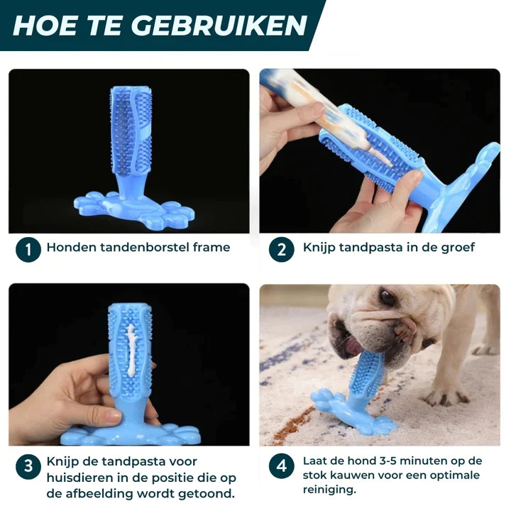 pets : BrushPup Stralend Hondengebit in Één Speeltje - Groen in van Pantino