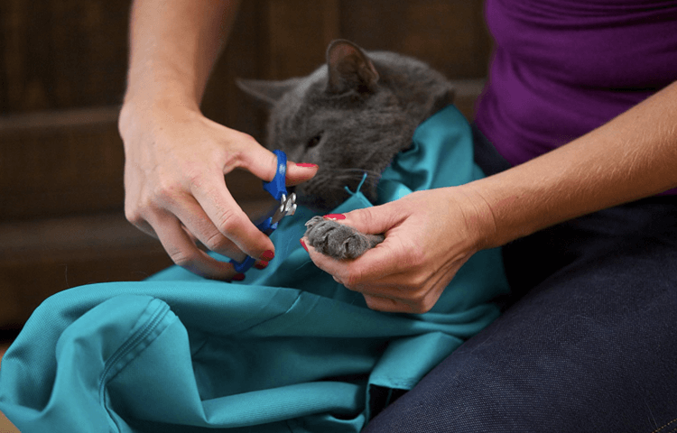 pets : Comfy Cat Reisetui - Blauw in van Pantino