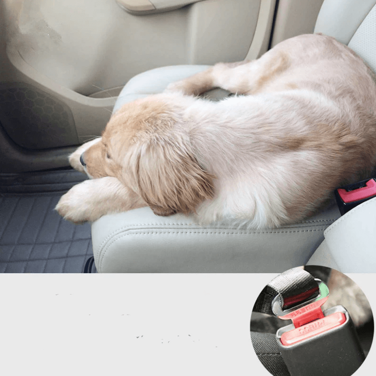 pets : Hond Auto Veiligheidsgordel - Rood in van Pantino