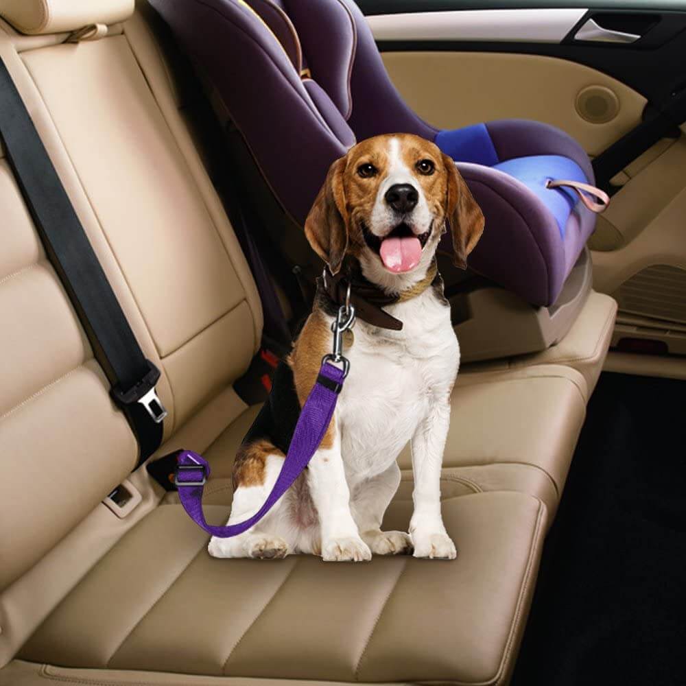 pets : Hond Auto Veiligheidsgordel - Rood in van Pantino