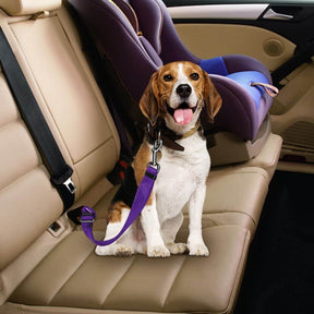 pets : Hond Auto Veiligheidsgordel - Rood in van Pantino