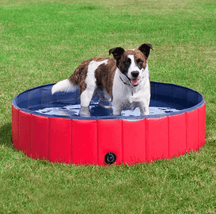 pets : Draagbaar Hondenzwembad Baby Kant - Blauw in Rood van Pantino