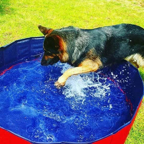 pets : Draagbaar Hondenzwembad Baby Kant - Blauw in van Pantino