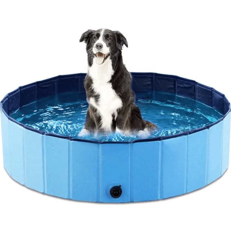 pets : Draagbaar Hondenzwembad Baby Kant - Blauw in Blauw van Pantino