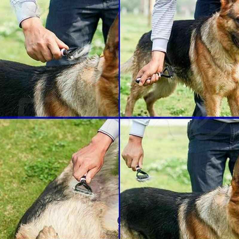 pets : Dubbelzijdig Ontharing Kam - Huisdieren - Blauw in van Pantino