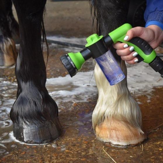 pets : Nozoo Pony Jet - Was Je Paard als Nooit Tevoren - Groen in van Pantino