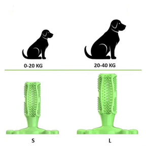 pets : BrushPup Stralend Hondengebit in Één Speeltje - Groen in van Pantino