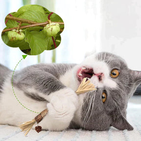 pets : Krabpaal KittyBliss - Compacte & Duurzaam Kartonnen Krabpaal voor Katten in van Pantino