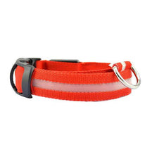 pets : LED Halsband Nylon - Blauw in Oranje van Pantino