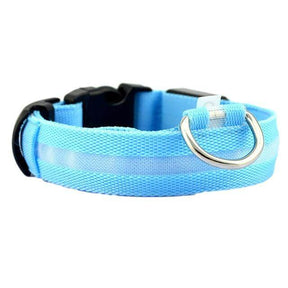 pets : LED Halsband Nylon - Blauw in van Pantino
