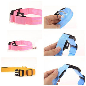pets : LED Halsband Nylon - Blauw in van Pantino