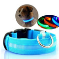 LED Halsband Nylon - Blauw