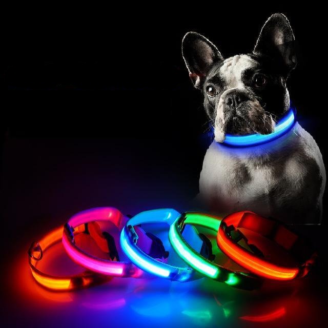 pets : LED Halsband Nylon - Blauw in Blauw van Pantino