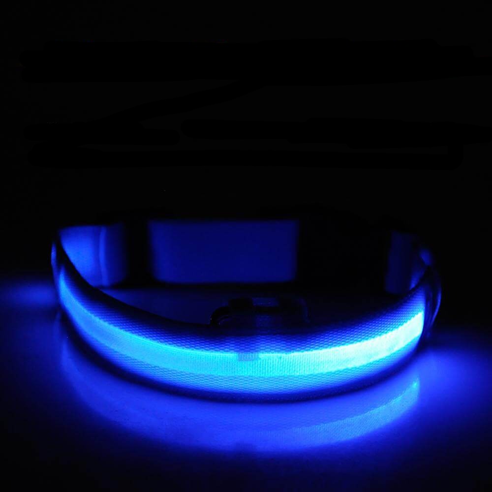 pets : LED Halsband Nylon - Blauw in van Pantino