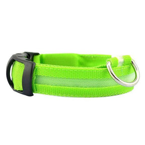pets : LED Halsband Nylon - Blauw in Groen van Pantino