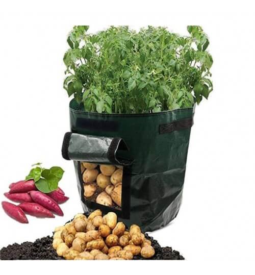 home & garden : Aardappel Groeiende Zak - Groen in van Pantino