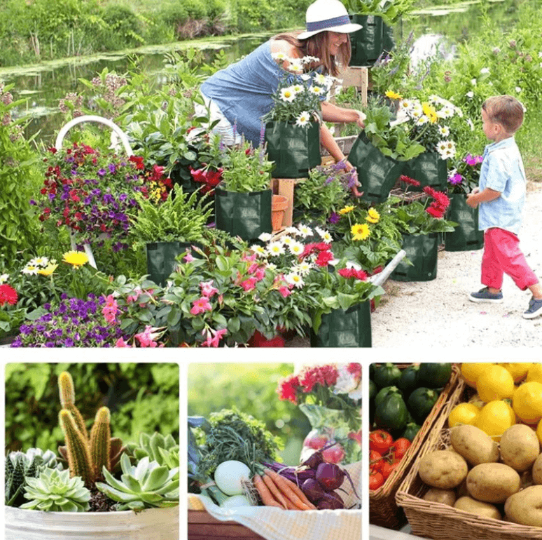 home & garden : Aardappel Groeiende Zak - Groen in van Pantino