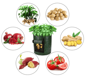 home & garden : Aardappel Groeiende Zak - Groen in van Pantino