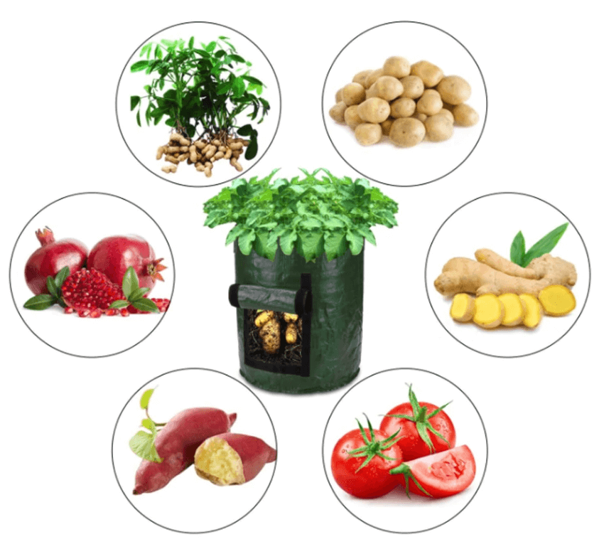 home & garden : Aardappel Groeiende Zak - Groen in van Pantino